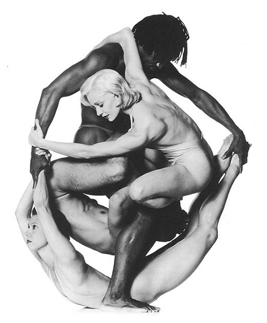 pilobolus